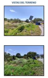 Open flat terrain with green areas trees in commercial lot in Chame