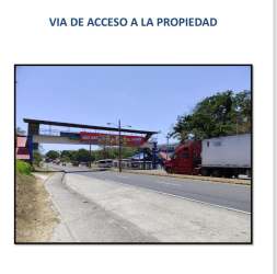 View of undeveloped 4332m² land lot with green vegetation trees Las Lajas Chame Panama