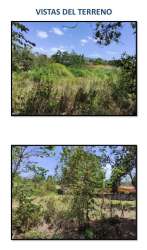 Dense vegetation with trees on 4332m² commercial lot Las Lajas Chame Panama