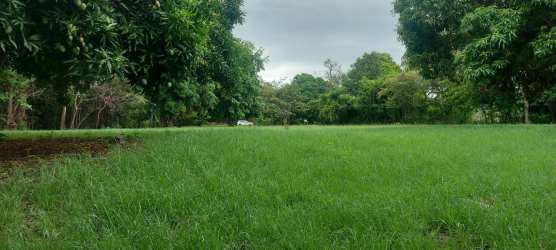 Large fenced countryside lot with fruit trees in El Espave Chame Panama