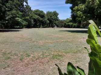 Vacant fenced lot with mature trees in El Espave Chame near Highway Panama