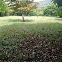 Land for Sale in Chame - 0 bedrooms