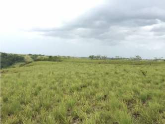 Open countryside land with shrubs and hills in Coclé suitable for farming or development