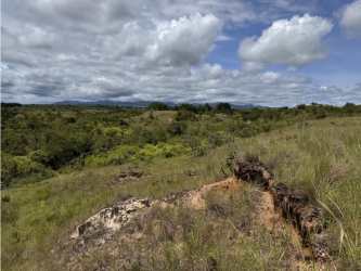 26 Hectare Development Land with Water Access in Rio Hato