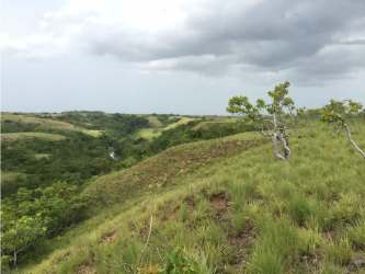 Open rolling countryside with distant mountain views in Rio Hato ideal for eco-tourism development