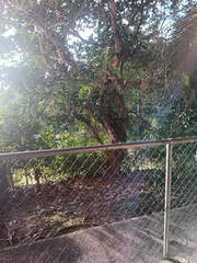 Apartment for Rent in Clayton - 3 bedrooms