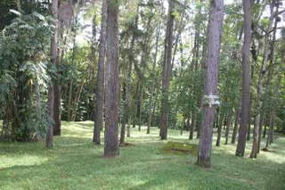 Agro-Tourism Farm Land for Sale in San Carlos - 0 bedrooms