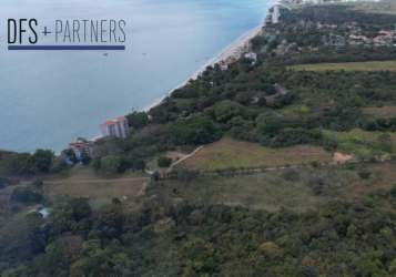 Open land terrain suitable for beach condos hotel with tropical greenery Farallon Panama