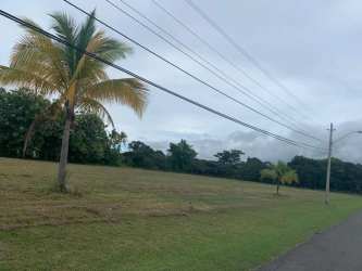 Clear wide beachfront lot surrounded by tropical trees in Playa Blanca-Buenaventura sector