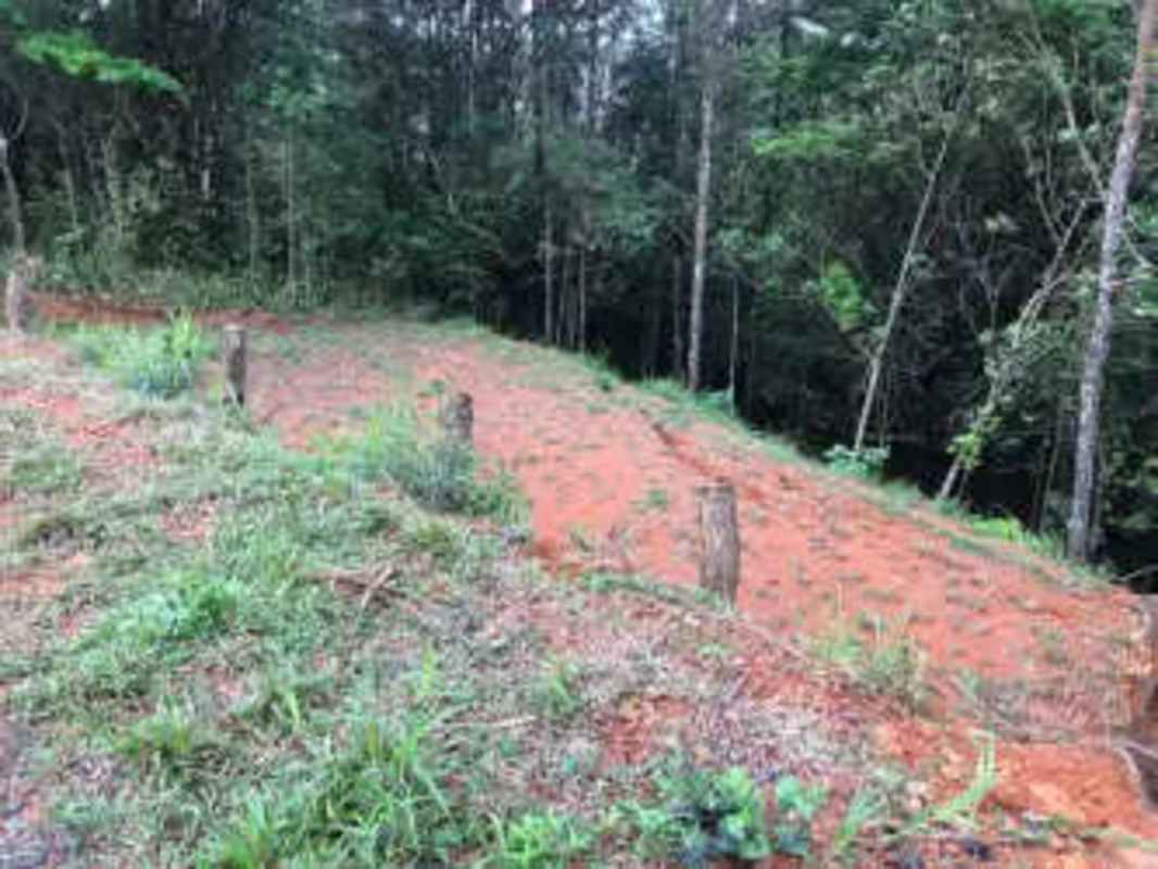 Cleared plot for sale in forested community Altos de Cerro Azul Panama