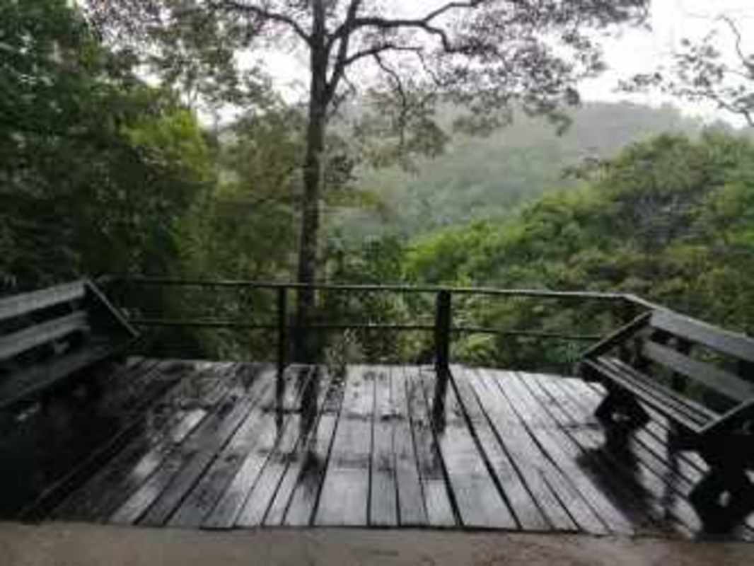 Wooden deck with benches and panoramic forest views in Altos de Cerro Azul Panama