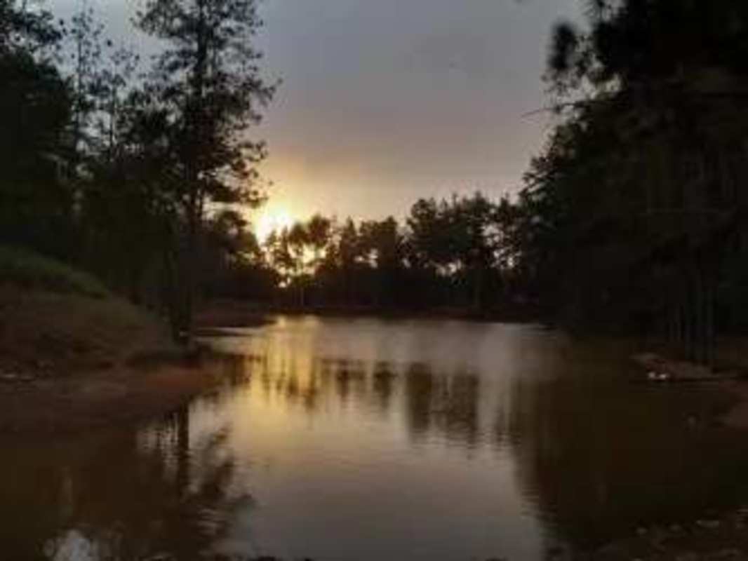 Land in Altos de Cerro Azul, Mountain Natural Retreat