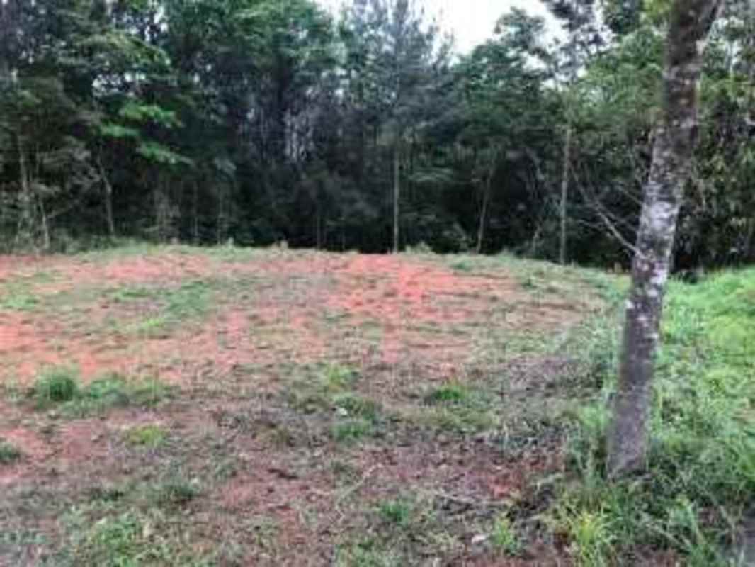 Vacant cleared lot bordered by forest ideal for building in Altos de Cerro Azul Panama