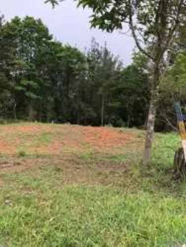Open grass cleared area with forest backdrop in gated mountain Cerro Azul Panama
