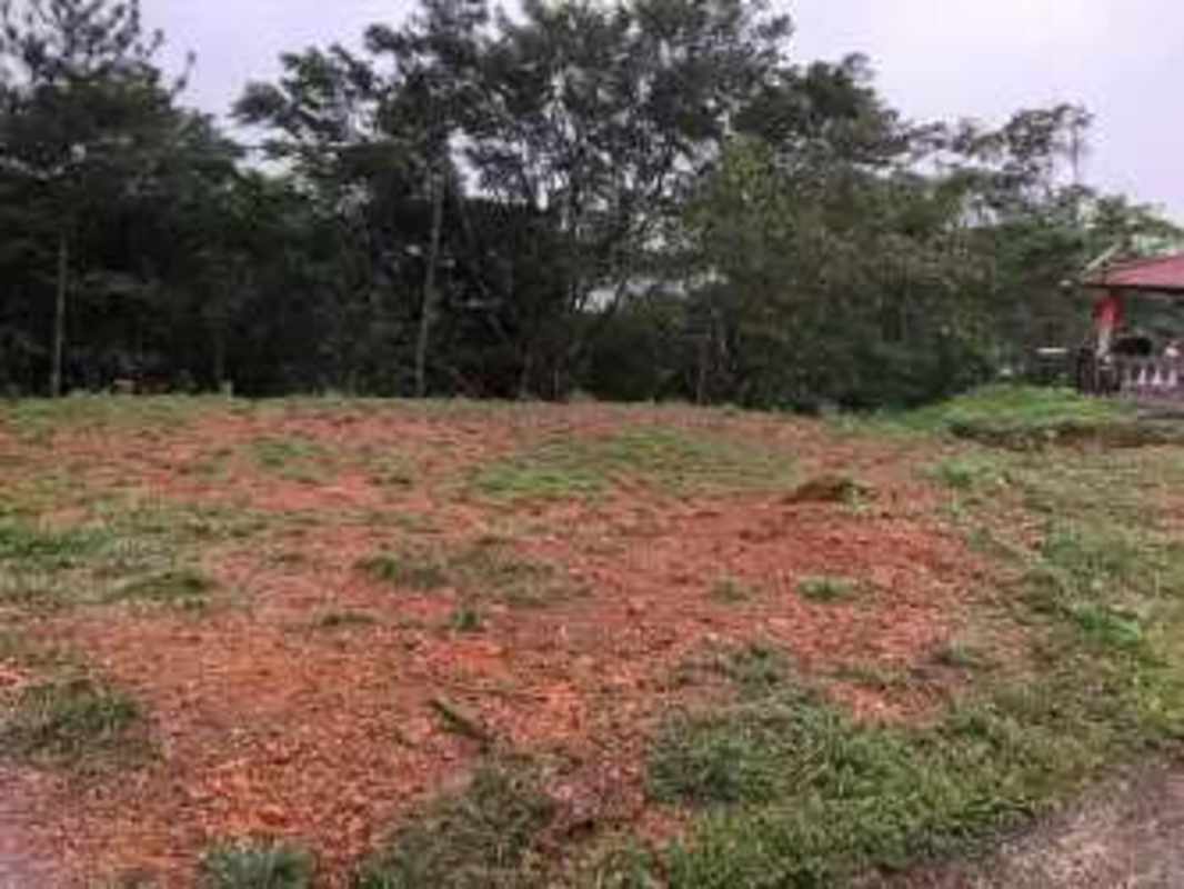 Partially cleared mountain lot with forest backdrop in Altos de Cerro Azul