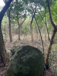 Vibrant green mountain landscape under cloudy sky rural Panama farm land