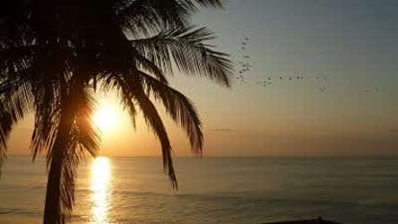 Drone aerial of large beachfront estate with guesthouses on Playa Corona Pacific coast Panama