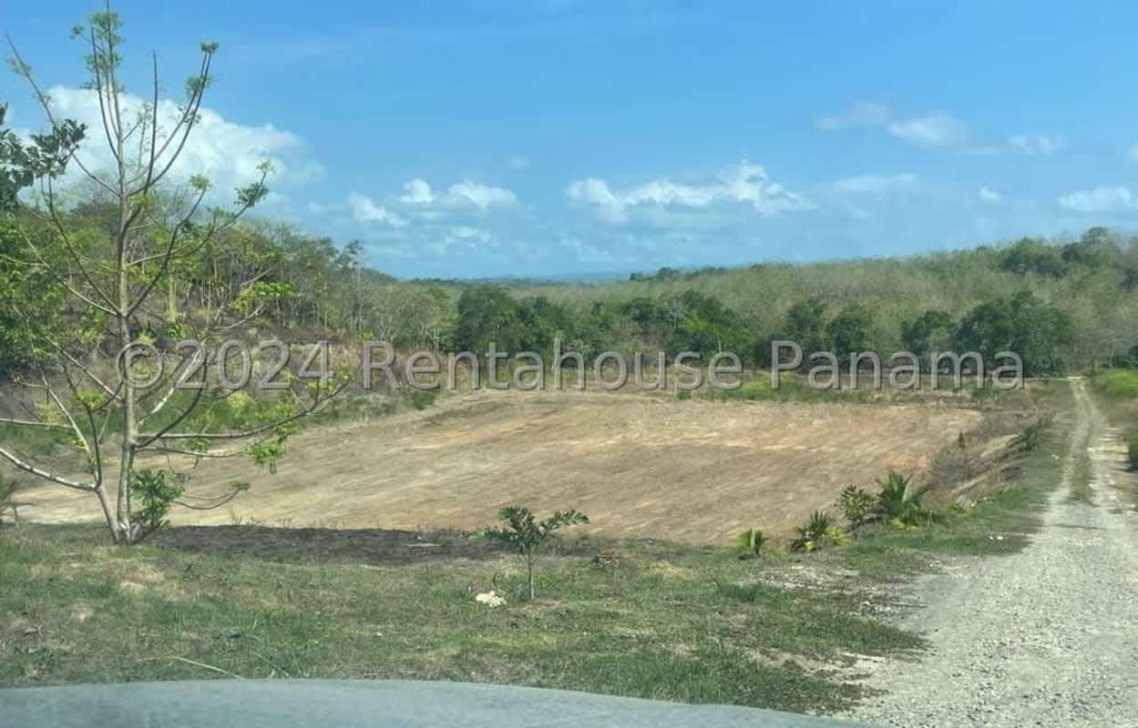 Partially cleared industrial development site in Calzada Larga, Panama