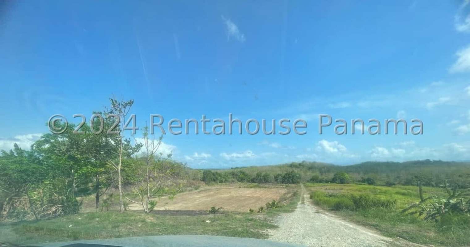 Large undeveloped industrial lot with gentle terrain in Panama City