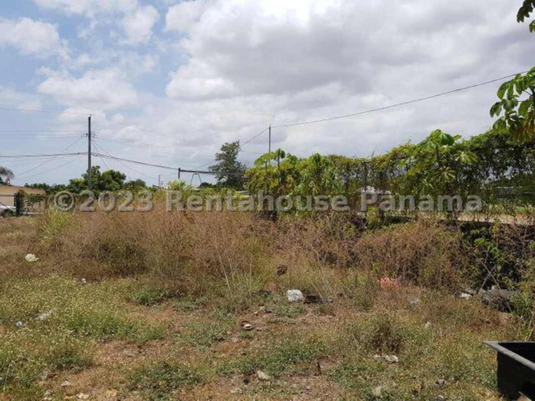 Vacant lot with overgrown grass, trees, electrical utility poles semi-urban Panama