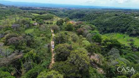 Lush Boquete countryside mountain land with forested areas and road access visible
