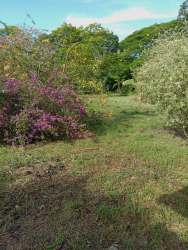 Country House for Rent with Pool Near Playa Blanca Panama in Río - View 14