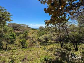 Expansive view of grassy hill pastures in countryside of Veraguas Panama