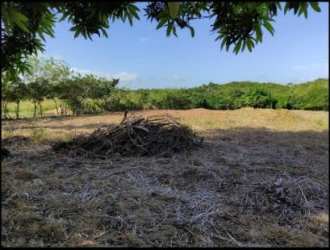 Plot of land with trees and cleared space in Aguas Blancas El Coco Penonomé Coclé Panama