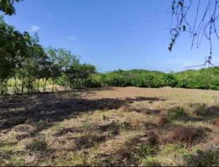 Land for Sale in El Coco - 0 bedrooms