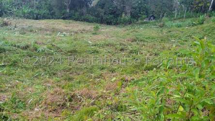 20 hectare undeveloped flat land along highway in Colón Province Panama