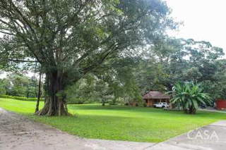 Single Family Home with Farm for Sale in Cochea - 3 bedrooms