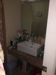 Fenced backyard with lush lawn and tall hedge for privacy house La Arboleda Panama