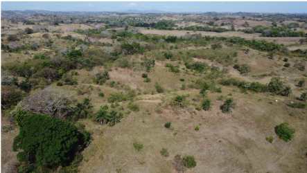 Lush pasture bordering Rio Purio with green landscape farmland near Pedasi Panama