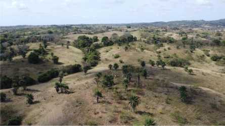 Hilly open countryside of fertile lands in Purio near Pedasi suitable for farming development