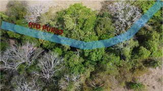 Property for Sale in Tonosí - 0 bedrooms