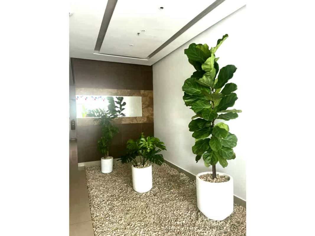 Modern hallway indoor garden pebble stone area in PH Crystal Blue Panama