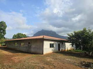 Farm land for Sale in El Cacao - 3 bedrooms