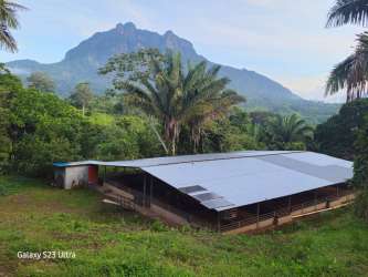 Large metal barn structure on green farm land with mountain background Capira Panama