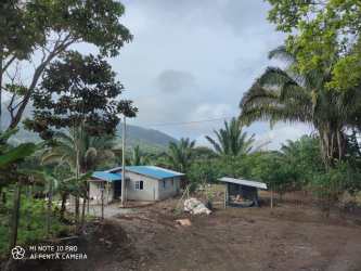 Mountain view farmland with trees, cattle, grass Capira Panama