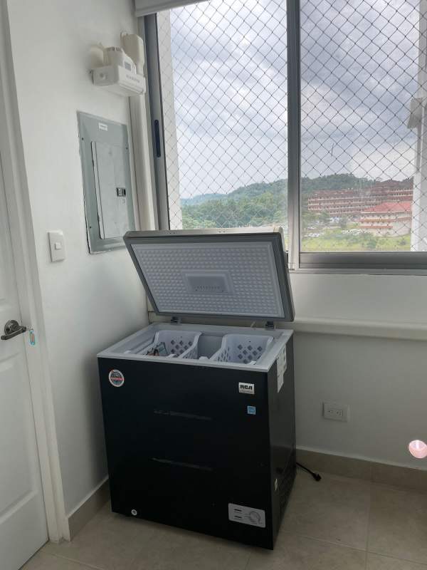 Laundry area with washer, dryer, storage, utility window in Clayton rental