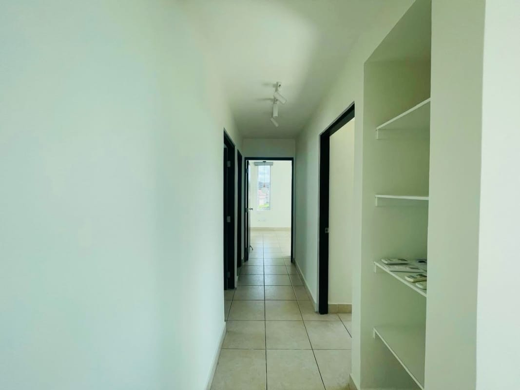 Spacious bedroom large window garden views built-in closet AC Clayton Park