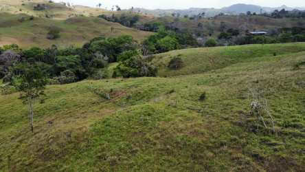 Covered cattle handling areas and barns on large finca ranch agricultural estate La Chorrera Panama