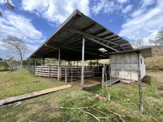Livestock shelter barn metal roof in cattle ranch La Chorrera Panama for sale