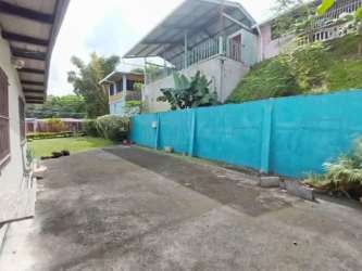 Concrete driveway with blue retaining wall, garden with banana plants Arraiján House for Sale