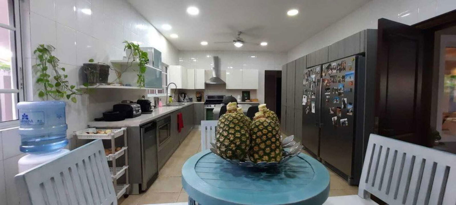 Private garden and swimming pool with tropical landscaping villa Costa del Este Panama