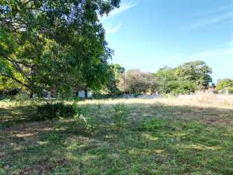 Bright flat grassy lot surrounded by trees close to beach in exclusive Coronado Panama residential area
