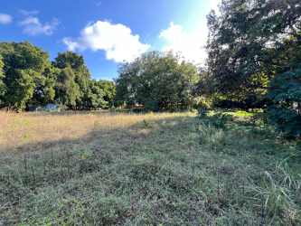 Flat ocean-proximity land with mature trees in Coronado Panama beach community