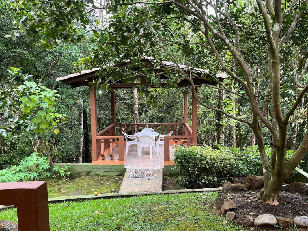 Rustic wooden gazebo with white patio furniture in lush garden setting mountain home Panama