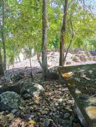 Area of banana trees and garden foliage Veraguas property