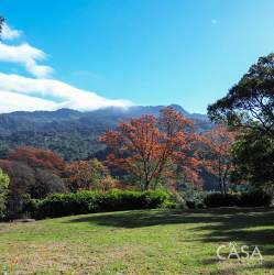 Mountain view land with clear grassy area and mature trees in Boquete Panama